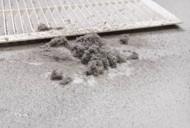 Best Professional Duct Cleaning Services  in Gulf Park Estates, MS