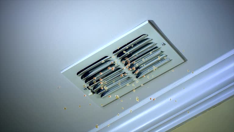 Best Affordable Duct Cleaning Services  in Gulf Park Estates, MS